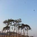 어울림투어