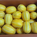 동영농장 이미지