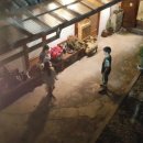 궁 파티하우스 이미지