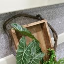 제주권역재활병원 이미지