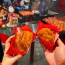 헬로펫샵 | Fukuoka is love ! ! ! 💘