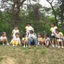 보림유치원 이미지