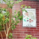 이레하우스 | 서울역 맛집 내돈내산 이레피자하우스 | 수제 화덕피자 맛집 추천
