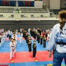 용인대 한국태권도 이미지