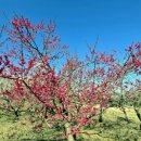 꽃들 태양광발전소 이미지