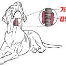 Dr. 오즈 동물병원 이미지