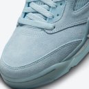 블루버드 이미지