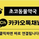 초코약국 이미지