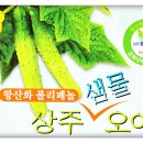 상주원예영농조합법인 이미지