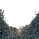 도순동-3 이미지