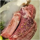 강릉한우금송아지 이미지