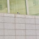 뮤지컬 <구구> 이미지