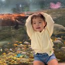 파주 함소아 한의원 | 돌 지난 아기 야제증 _ 함소아 한의원