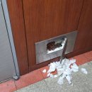 일신족탕 이미지