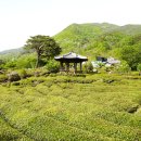 명산차민박 이미지