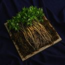 황룡농협 이미지