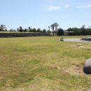 돼지한마당 이미지