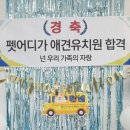 펫어디가