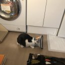 서울허브동물병원 이미지