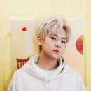 새미 이미지