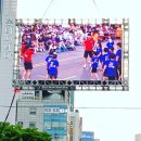 용인대 명품 태권도장 이미지