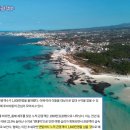 디웨이브(주) 이미지