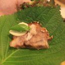 고향보쌈 이미지