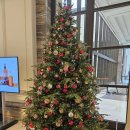 만수무강한의원 이미지