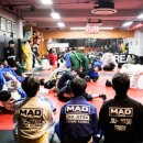 TEAM MAD 이미지