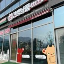 튼튼펫샵 | ㅣ 견생냥품 ㅣ 창원 스타유니시티 근처 고양이 용품점 24시 무인펫샵 방문 솔직후기