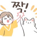 랜디돌스 네이버블로그