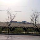 배다리중학교 이미지