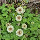 기계봉좌마을 이미지