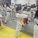 신정태권도장 | [양천구태권도 추천] 신정동·목동·신월동 태낭태사 태권도장, 도전 극기 성장 워킹캠프 성황리 마무리