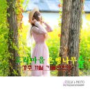 도리정원 이미지