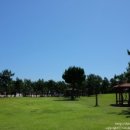 홍경태동물병원 이미지