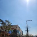 영암국민체육센터 체력단련실 | 망포복합체육센터 수원 평일 자유수영 오리발 아쉬운점