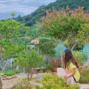 양정길 | 청도 예쁜 카페 추천 들꽃뜨락 예쁜 정원 카페 청도 가볼만한 곳 내돈내산