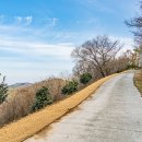 실내체육관 앞 횡단보도 이미지