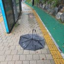 조은빨래방 | ~ 25년 9월 29일