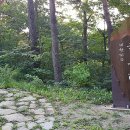 국립 대관령자연휴양림 네이버블로그