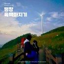 금성목장 | 평창 청옥산 육백마지기 야경 별 사진 찍는 팁