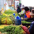 안인농장 이미지