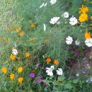 NR-39[서해로]-상-104 | 강화도 전등사와 정족산사고(鼎足山史庫)