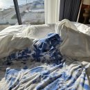 트로피컬하이드어웨이 이미지