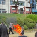 예산여자고등학교 | 개밀림