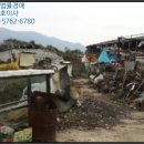 고성목장 이미지