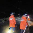 남해-276 이미지