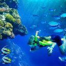 생활건강 테이핑+마사지 이미지