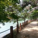 약사계곡 캠핑장 이미지